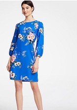 Ann Taylor Floral Romantic A Line Dress Size 4