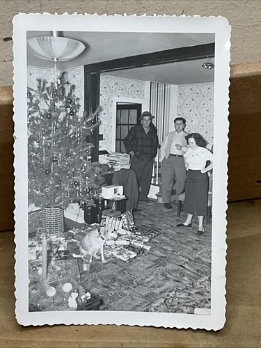 50er Jahre Fotos von Weihnachten Morgen Baum Geschenke Katze Wohnzimmer B47 - Bild 9 von 17