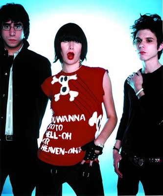 11x14 Yeah Yeah Yeahs Poster Karen O Maps Photography