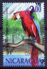 Red-and-green Macaw, Ara chloropterus, Birds, Nicaragua 1995 MNH  