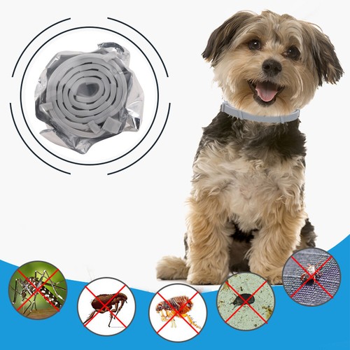 Adjustable Anti Flea And Tick Collar 8 Month Protection For Large Small Dogs Cat - Bild 15 von 30