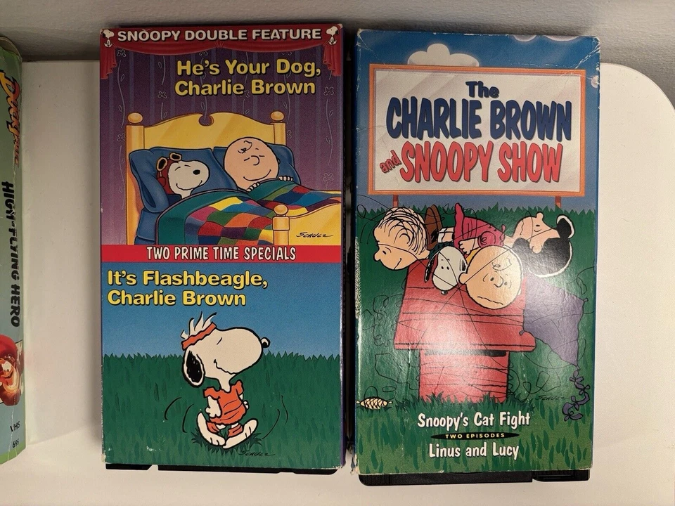 VHS Tapes Lot of 13 Movie Disney Sesame Street Snoopy Titanic Vintage Foto 4 de 4