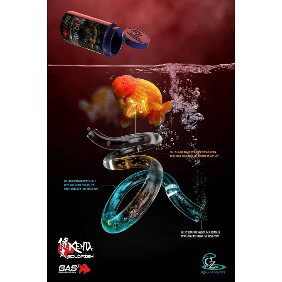 Fórmula de liberación de gas para alimentos Goldfish 150 g Problema de equilibrio en Goldfish Kenta K - Imagen 3 de 4