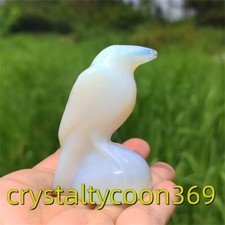 2"+ Opalite Crow Skull Carving Quartz Raven Crystal Bird Skull Sculpture 1pc