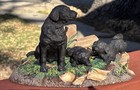 Vintage Black Lab Mother & Pups Sculpture Living Stone Inc  (?) Home Decor — photo 7