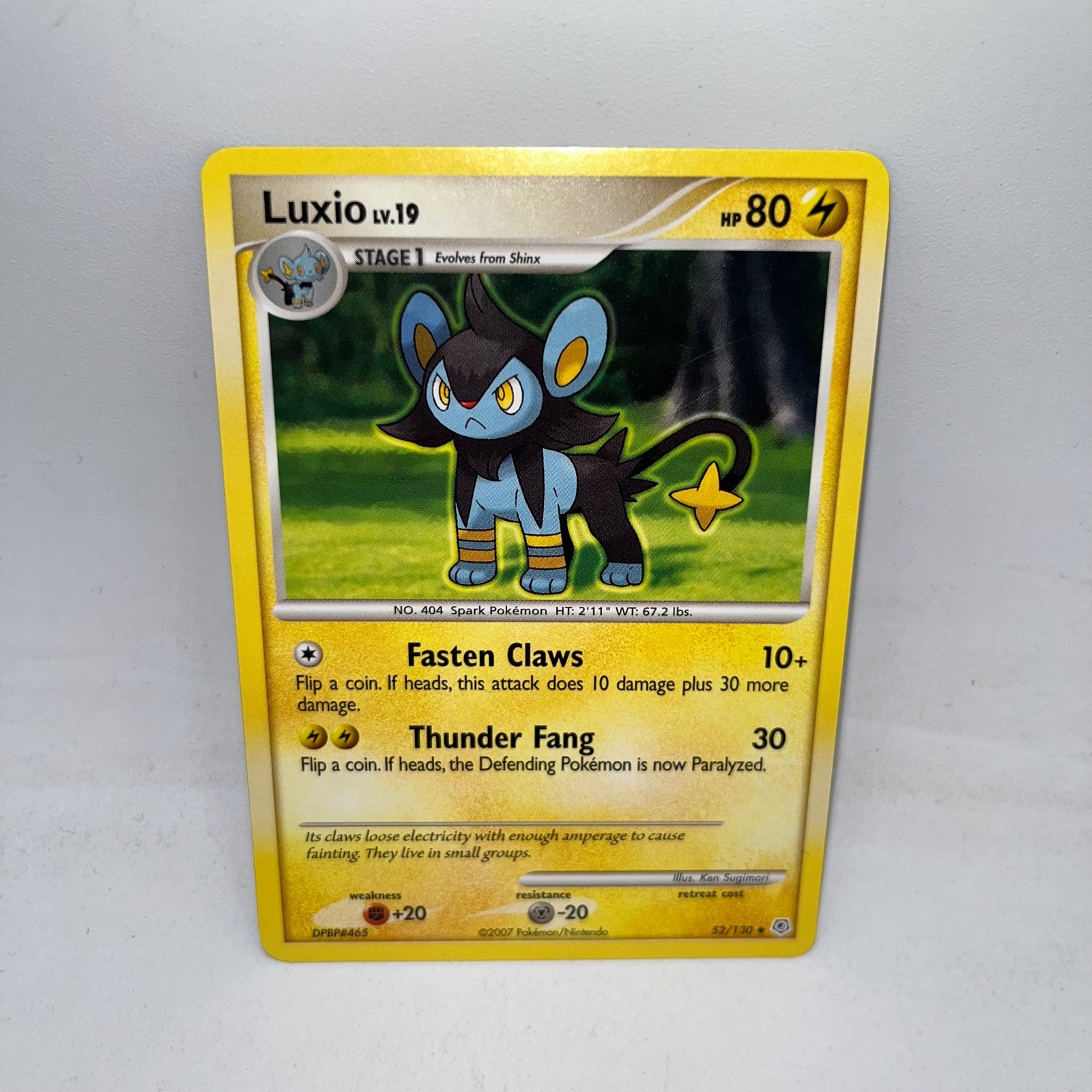Luxio 52/130 Uncommon Diamond & Pearl Pokemon Lightly Played