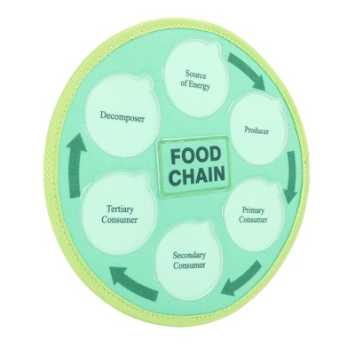 Life Cycle Learning Toys Felt Material Animal Food Chain Food Web Science Edu FO