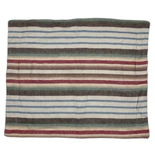 Pine Cone Hill Fine Linens Southwest Striped Ranch Sham Euro Pillow Case Cotton