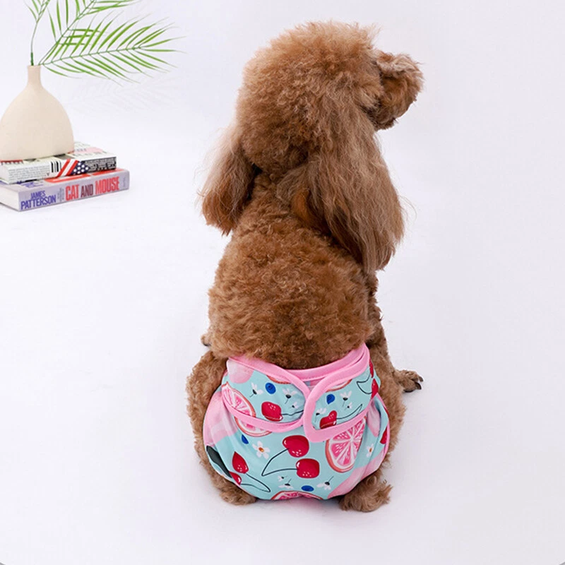 Pannolini Sanitari Per Cani Cagne Mutande Fisiologiche Mutande Fisiologiche ☆ - Image 2 of 4