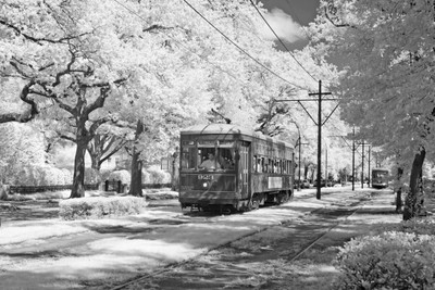 Poster: Streetcar, St. Charles Avenue, New Orleans, Louisiana