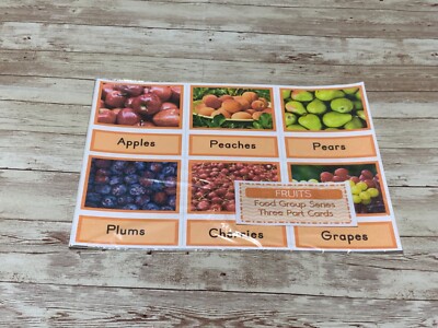 Montessori - Fruits - Food Groups Series -  Three Part Card - (PRINTED) DIY