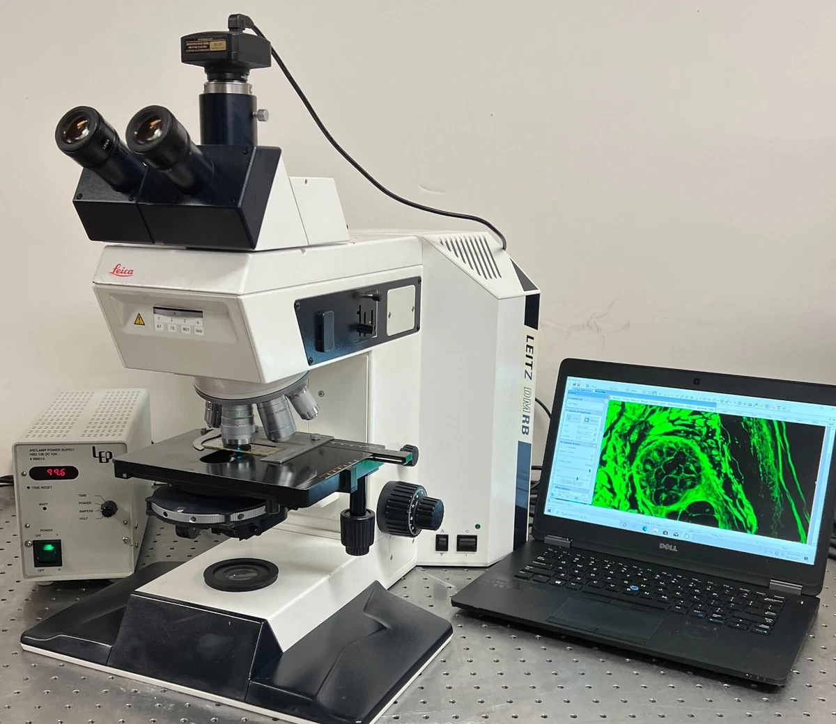 leica dmr microscope