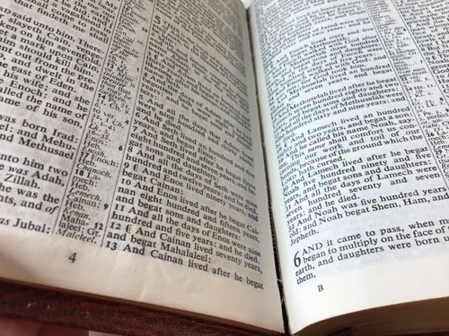 Cambridge University Press Pocket Snap Bible Calfskin Leather? Red Letter READ - Picture 10 of 13