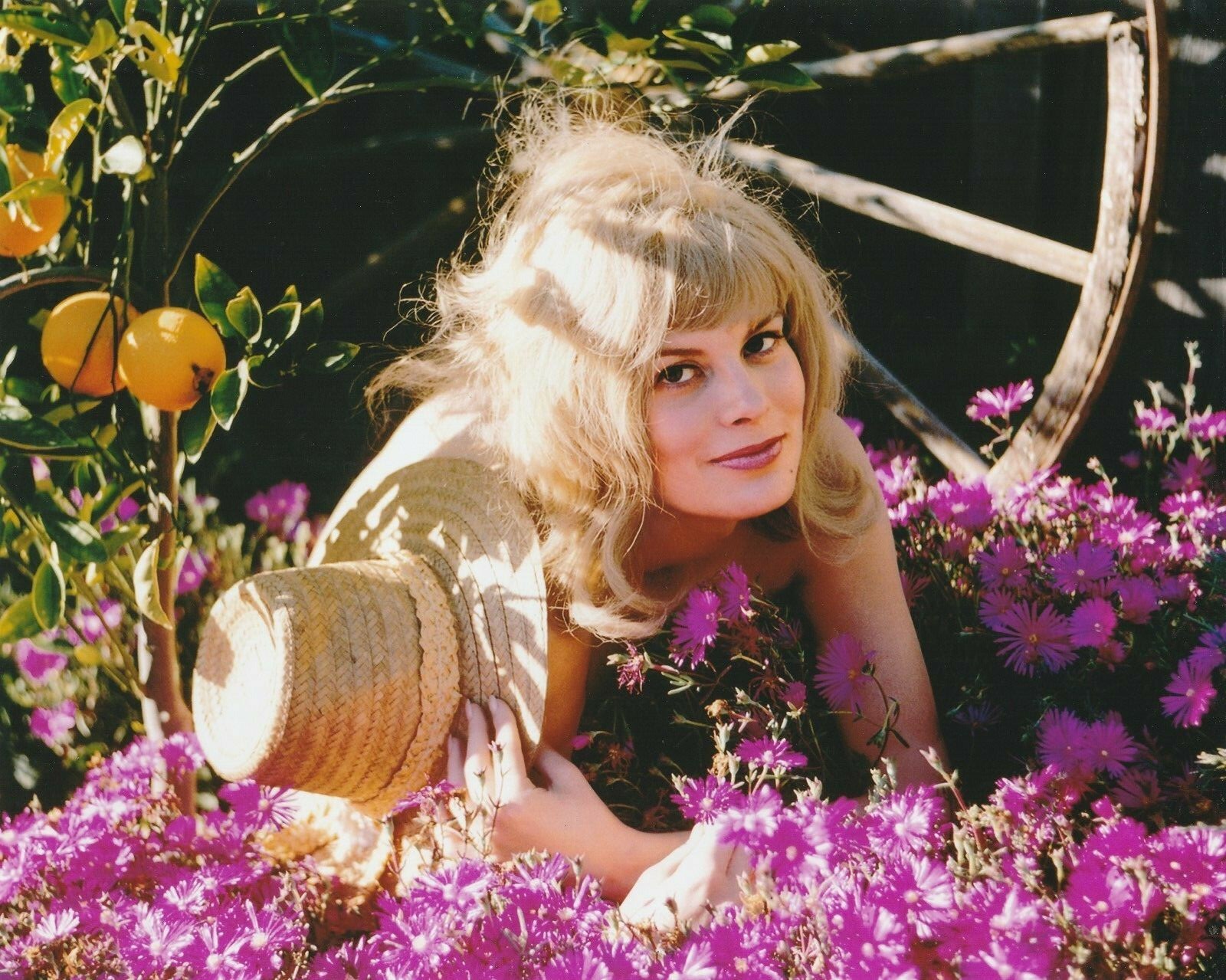 Debra Jensen Peter Criss