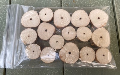  OWL EYE  PITHWOOD : BUTTONS Of NEW PITHWOOD CLEAN AND READY TO USE - MAY VARY