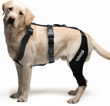 Tailwinds Double Knee Brace for Dogs - Cruciate Support Pain Relief