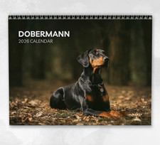 Dobermann Calendar 2026: Monthly Wall Calendar with Notes, opens to A3