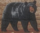 Bild 16 von 24