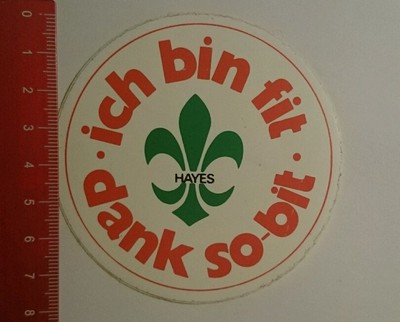 Decal/Decal: Hayes I'm Fit Thanks So Bit (080916109)