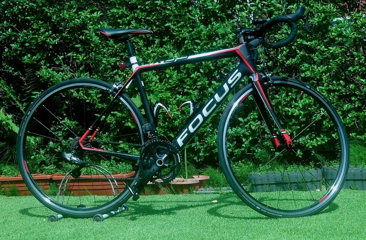 Focus cayo 2016 sale