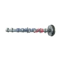 Bogap Nockenwelle Passend FüR Audi A3 A4 A5 A6 Q3 Q5 TT Seat Alhambra Altea