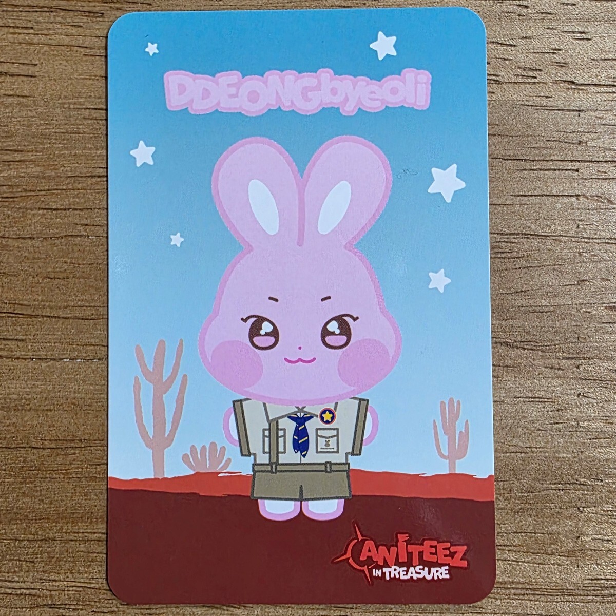 DDEONGbyeoli Seong Hwa Trading Card Photocard Ateez Pop-Up Aniteez
