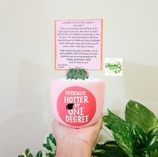 "Officially Hotter by One Degree" Handpainted Pot   Cute Graduation Gift