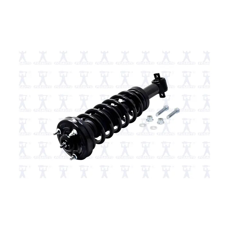 Suspension Strut and Coil Spring Assembly eBay