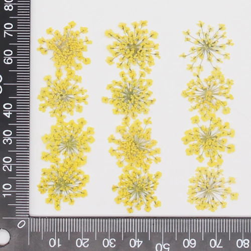 Dried Pressed Flowers Natural Epoxy Resin Candle Nail Art Scrapbooking Craft AU - Picture 147 of 210