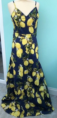 warehouse ruby check dress