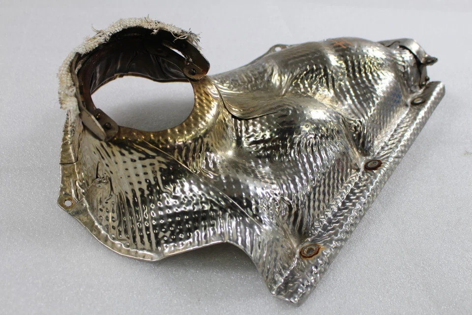 Ferrari 296 GTB, LH, izquierda, colector interior protector térmico, usado, P/N 784756 Foto 2 de 4