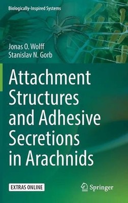 Attachment Structures and Adhesive Secretions in Arachnids by Jonas O. Wolff (En