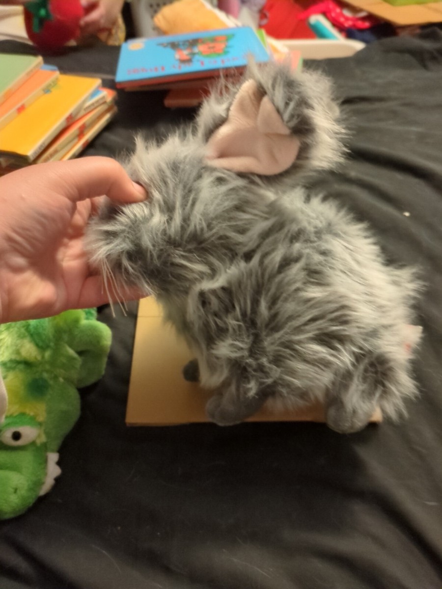 Webkinz Gray Angora Bunny Plush HM437 Stuffed Animal Rabbit Webkinz Gray Angora Bunny Plush HM437 Stuffed Animal Rabbit
