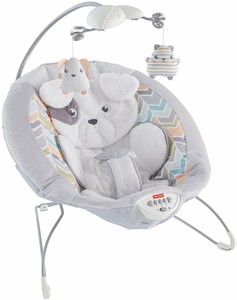 fisher price deluxe bouncer