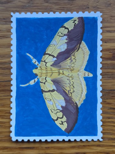 ACEO Original Gouache Painting Moth Bug Stamp OOAK by Manifesting Migraines