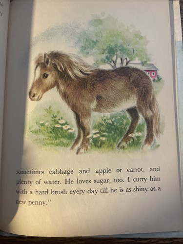 PETS Rand McNally Tip-Top Elf livre par Anna Ratzesberg vintage 1954 - Photo 9/15