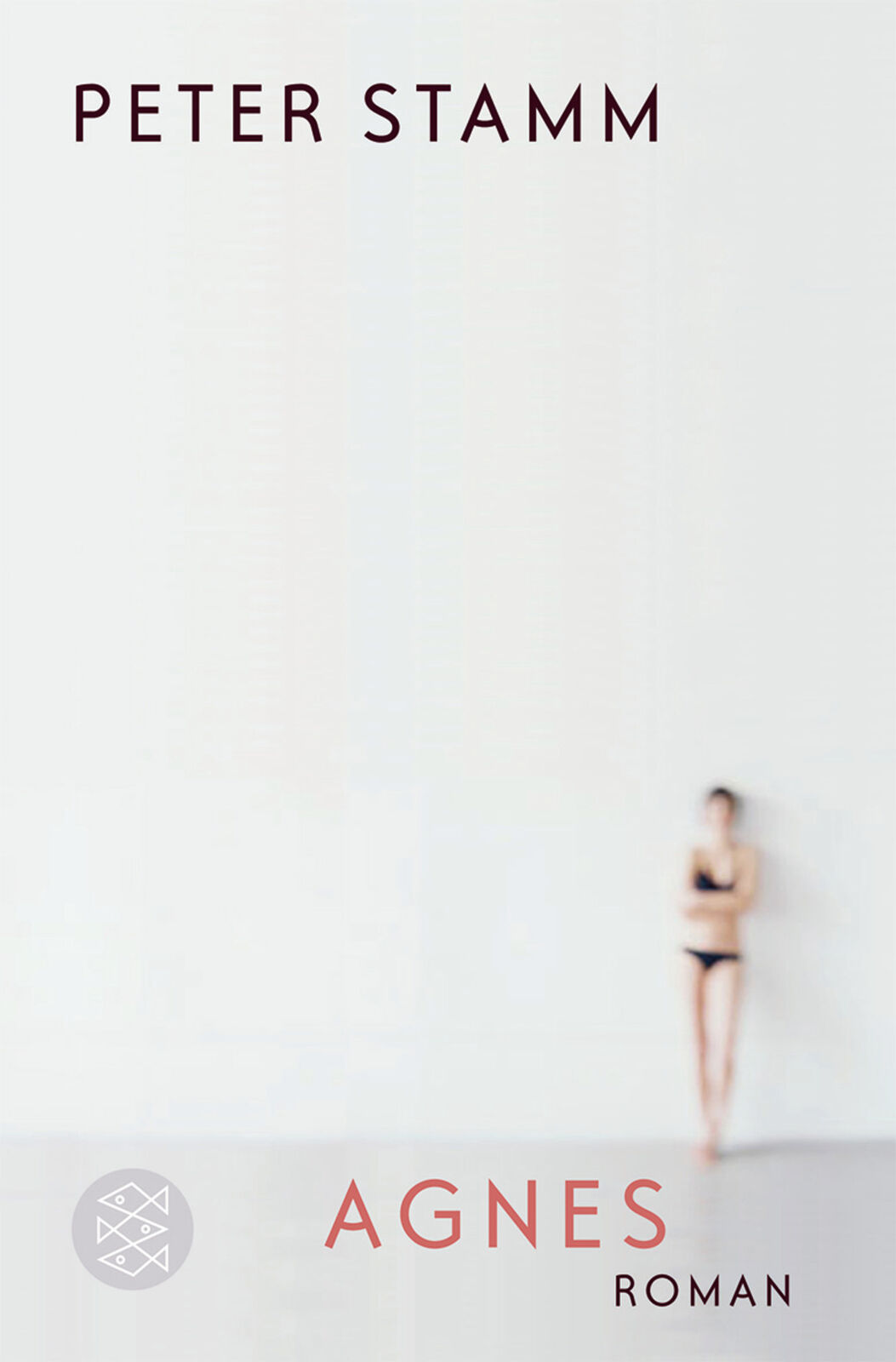 Thumbnail - Peter Stamm / Agnes