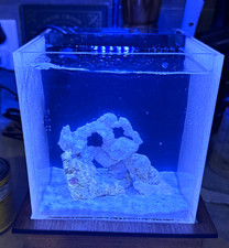 Acrylic Cube Nano Marine Aquarium Tank Half Gallon 8 in w/ LED, Live Rock Sand