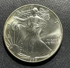 American Silver Eagle 1986 One Ounce Silver Coin-BSTK0424-12