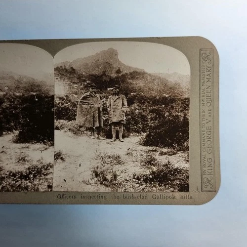 WW1 Military Stereoview C1916 Real Photo Turkey Gallipoli Officers  Terrain