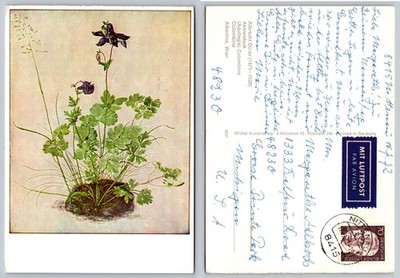 Continental Botanical Flower Illustration Postcard