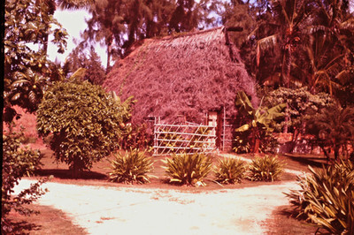 1974 HONOLULU HAWAII GRASS HUT 35MM COLOR SLIDE B21