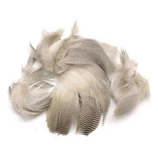 PINTAIL FLANK FEATHERS - Hareline Duck Fly Tying Material Spey Salmon Steelhead