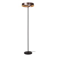 LED Stehleuchte Kaffeebraun FußSchalter H:168 Cm CCT 2200-3000 K Stehlampe BüRo