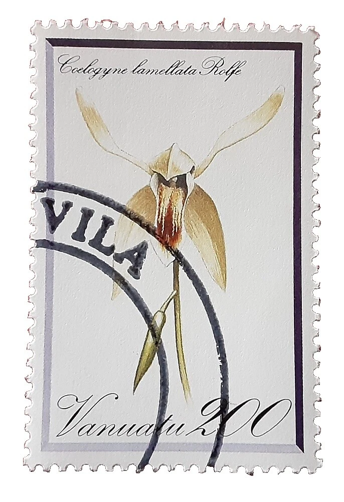 Estampillas de flores de varios colores