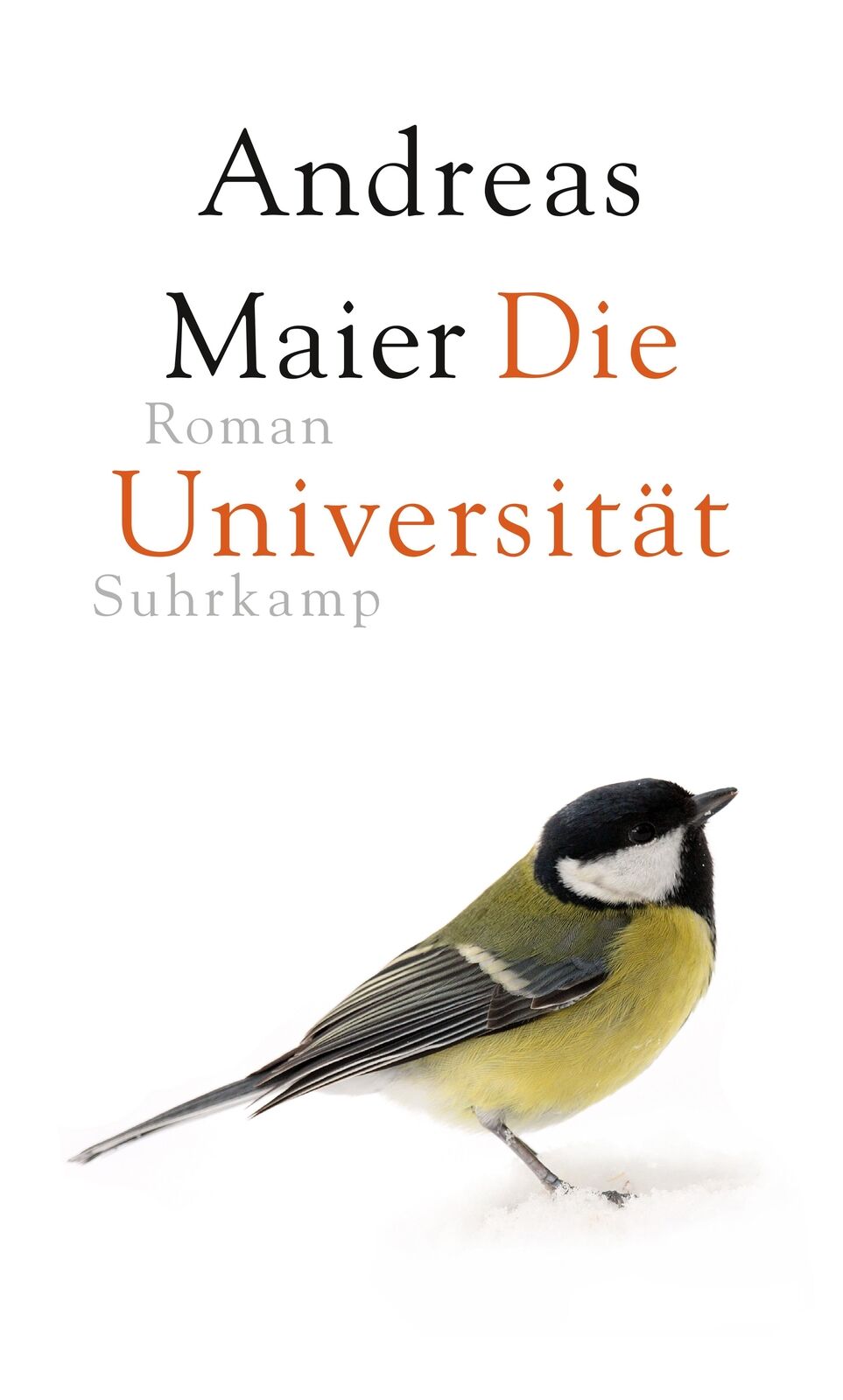 Thumbnail - Andreas Maier / Die Universität