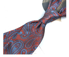 New Classic Paisley Blue Red JACQUARD WOVEN 100 Silk Men's Necktie Tie