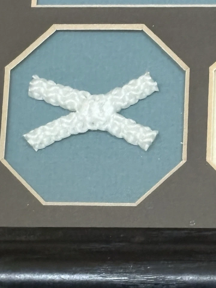 Paul Kariya Anaheim Mighty Ducks Framed Photo & Game Used Net FREE SHIPPING - Image 3 of 4