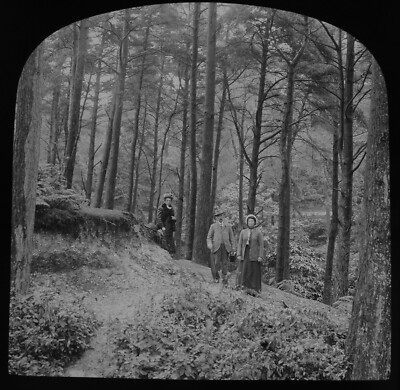 EDWARDIANISCHE GRUPPE IN BRANKSOME CHINE POOLE DORSET UM 1920 Magische Laterne Dia FOTO