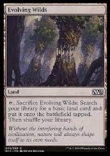 EVOLVING WILDS 2014 MTG - LAND - Magic the Gathering card